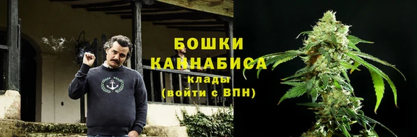 амф Липки