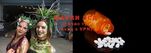 амф Липки