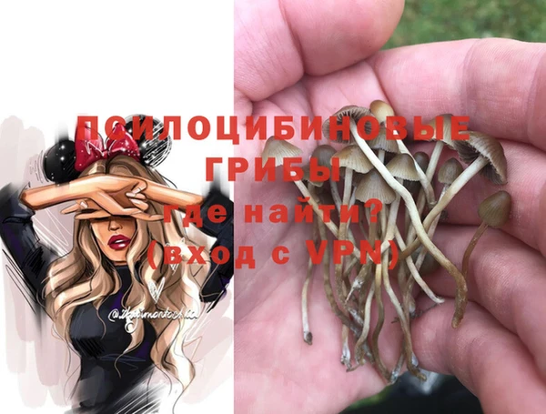 амф Липки